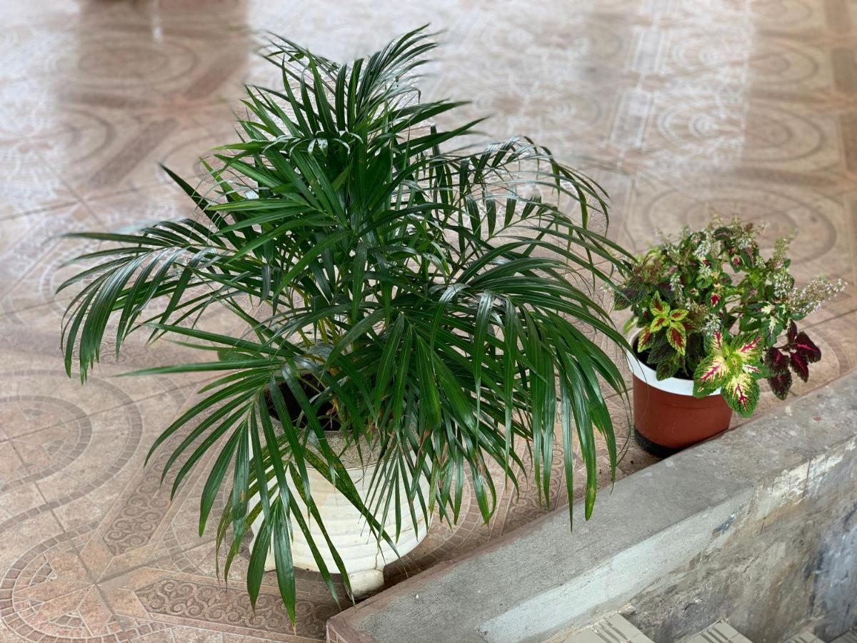 Residencial Turistico Rio Guayas Bed and Breakfast Γκουαγιακίλ Εξωτερικό φωτογραφία